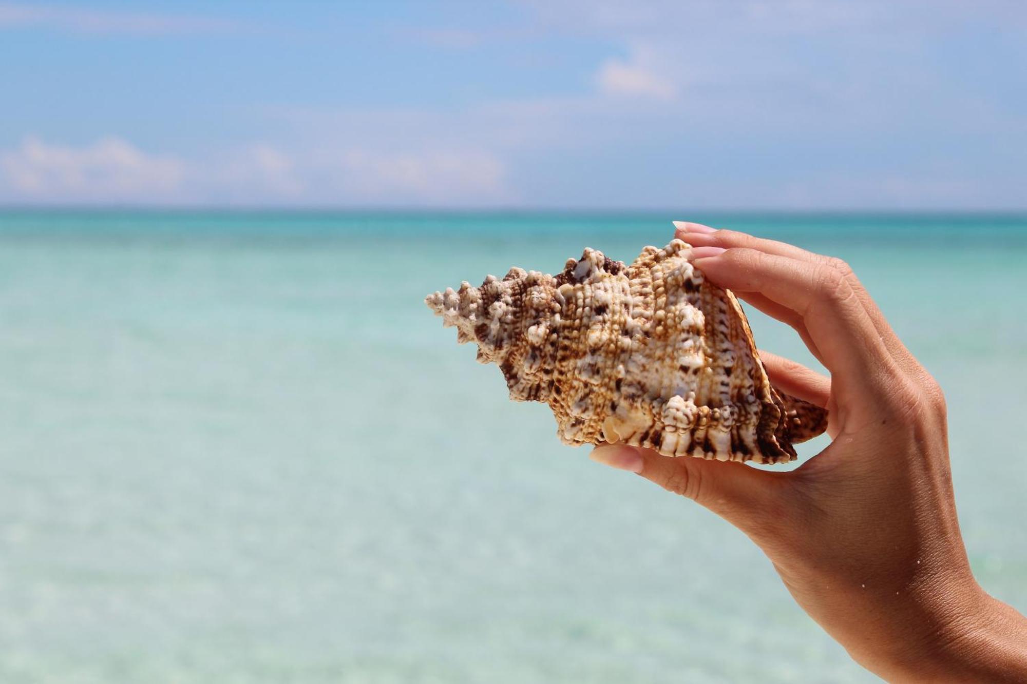 Mamello Beach Club Maldives Feridhoo Zewnętrze zdjęcie