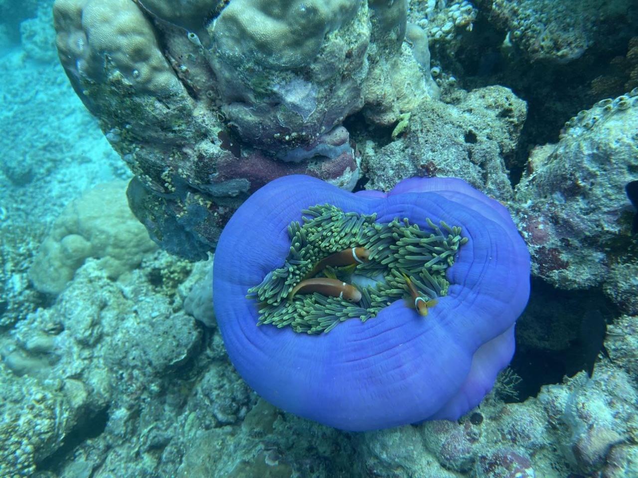 Mamello Beach Club Maldives Feridhoo Zewnętrze zdjęcie