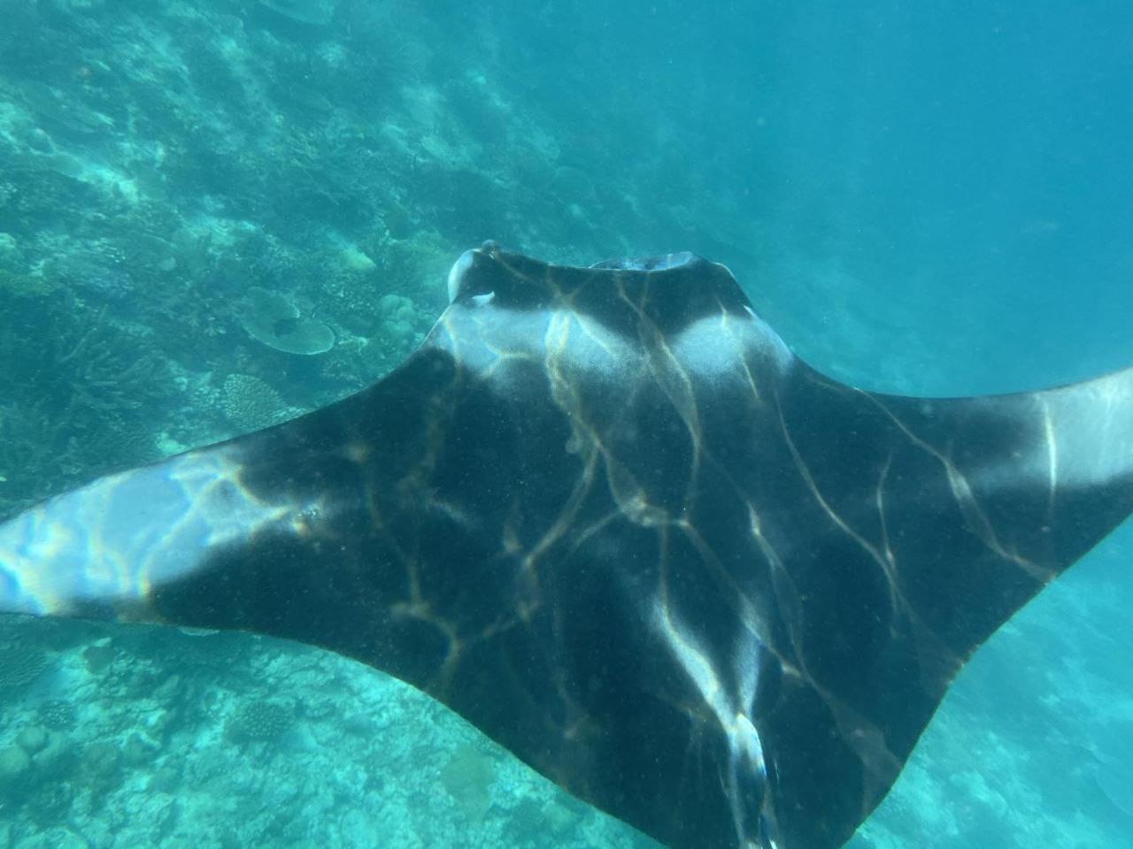 Mamello Beach Club Maldives Feridhoo Zewnętrze zdjęcie