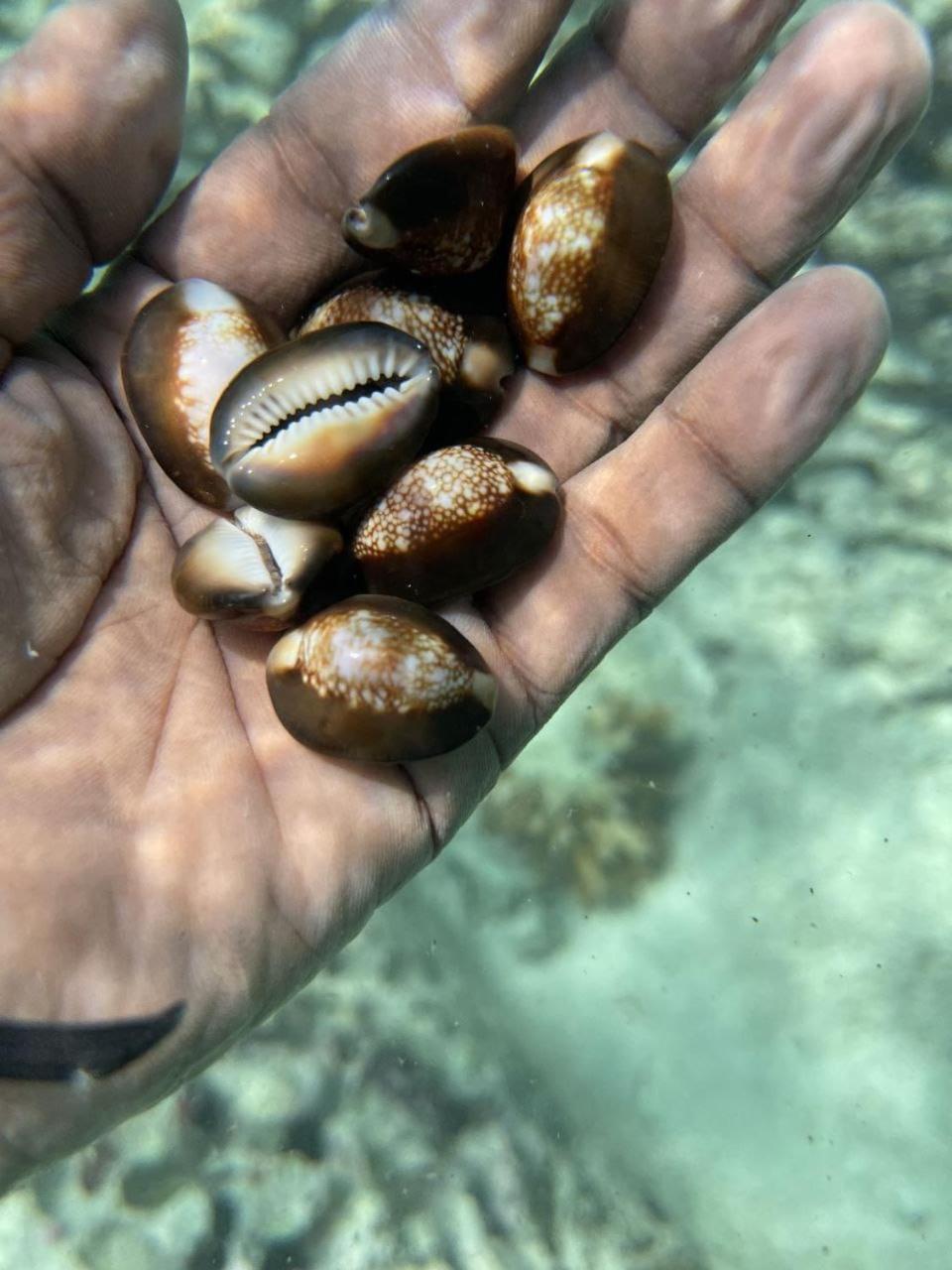 Mamello Beach Club Maldives Feridhoo Zewnętrze zdjęcie