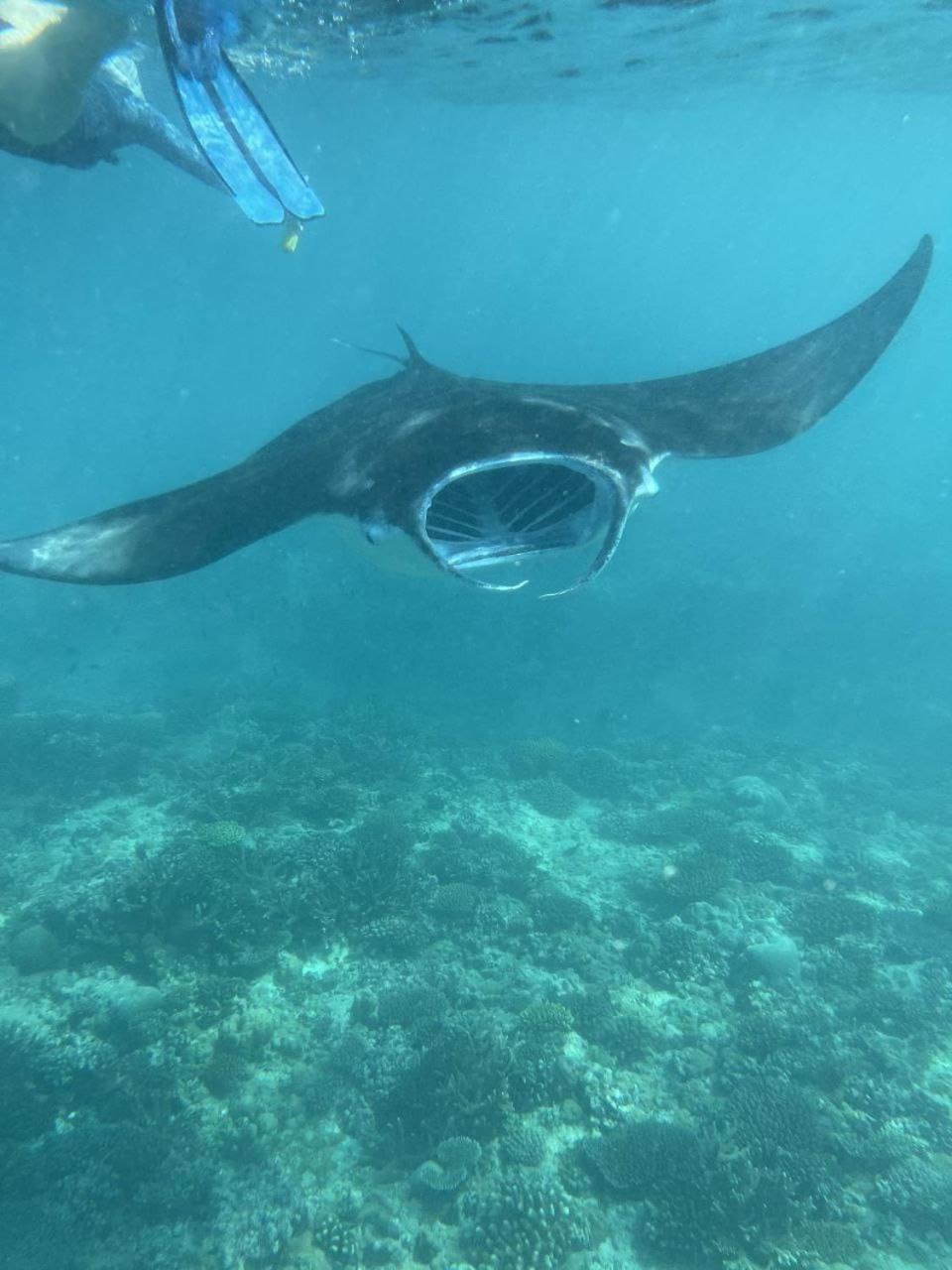 Mamello Beach Club Maldives Feridhoo Zewnętrze zdjęcie