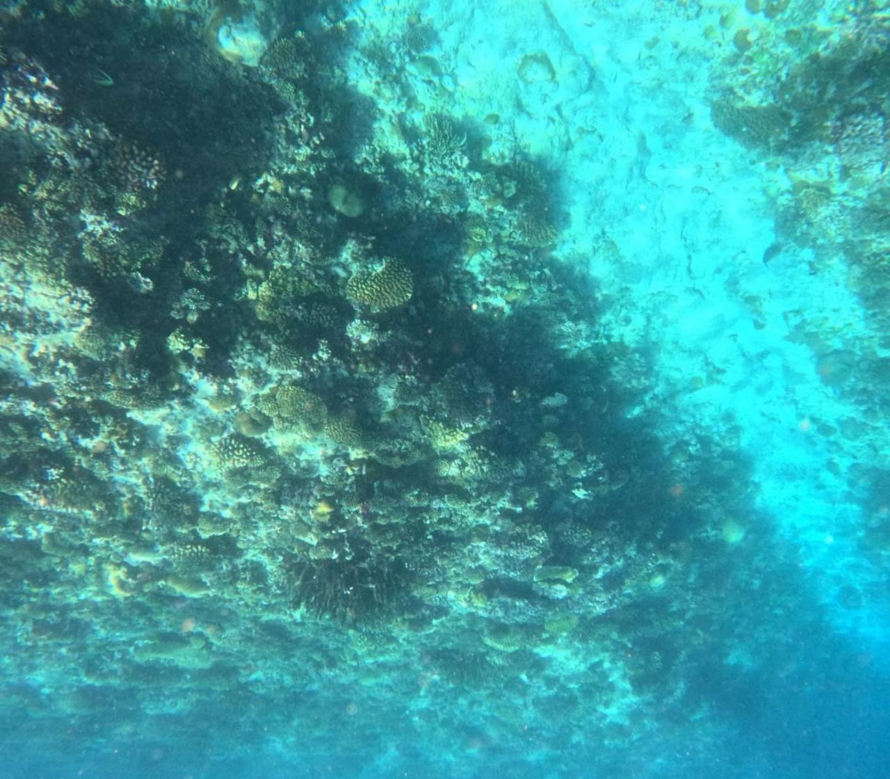 Mamello Beach Club Maldives Feridhoo Zewnętrze zdjęcie