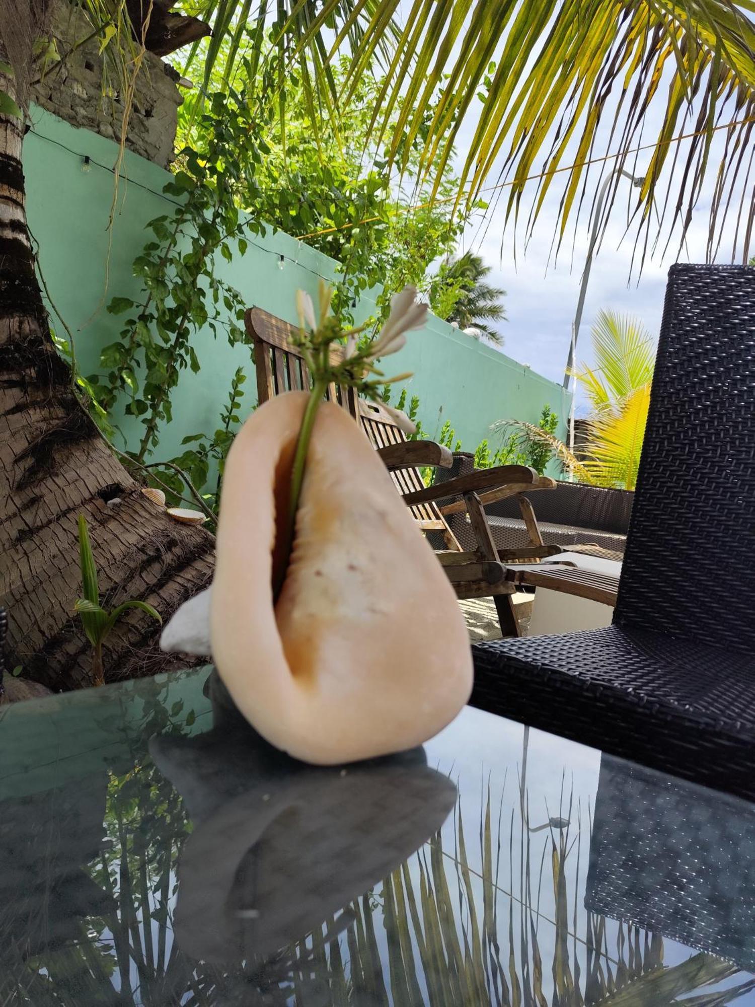 Mamello Beach Club Maldives Feridhoo Zewnętrze zdjęcie